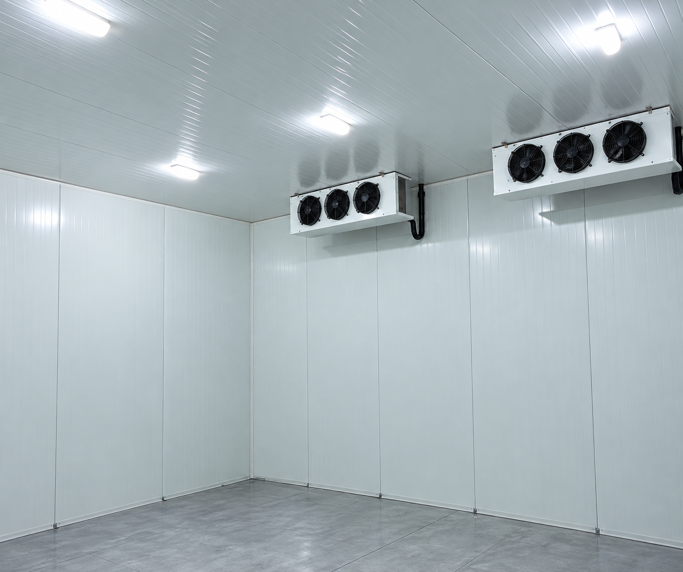 Modular Cold Room