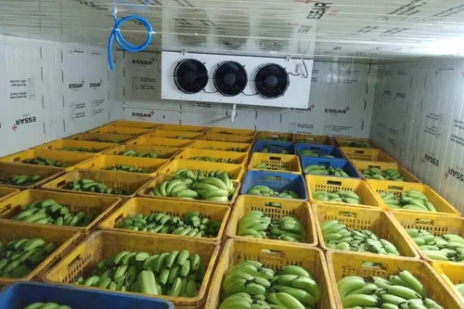 Banana Ripening Chamber