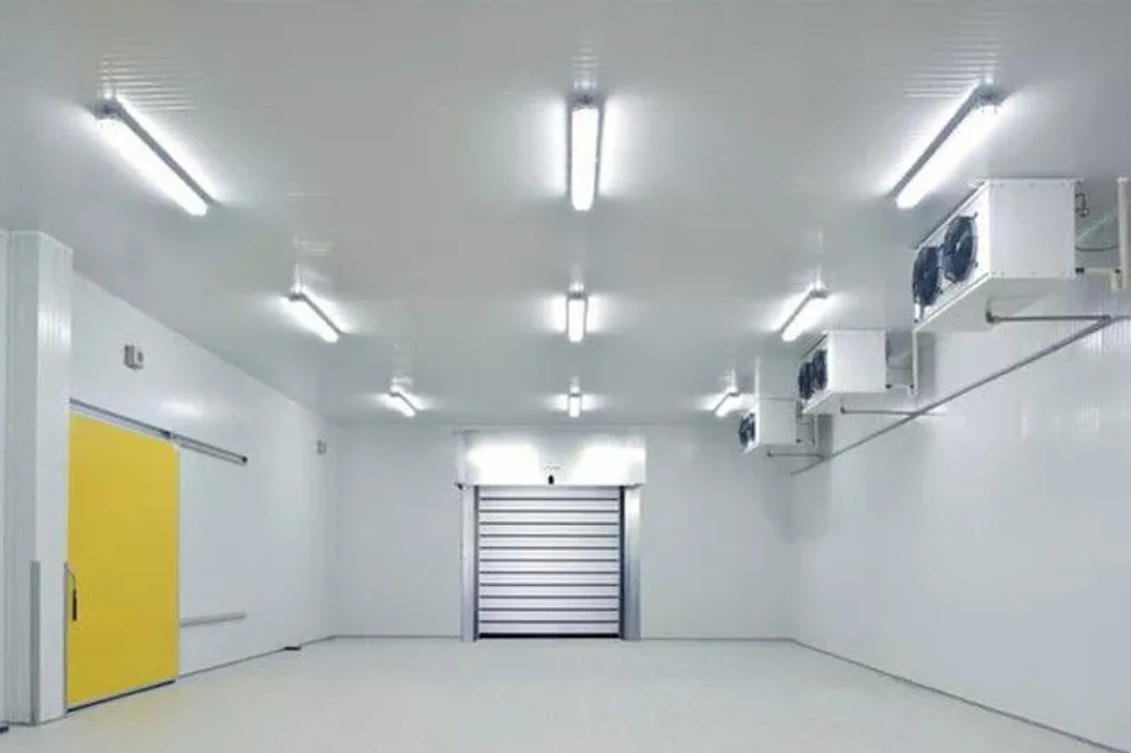 Freezer room interior