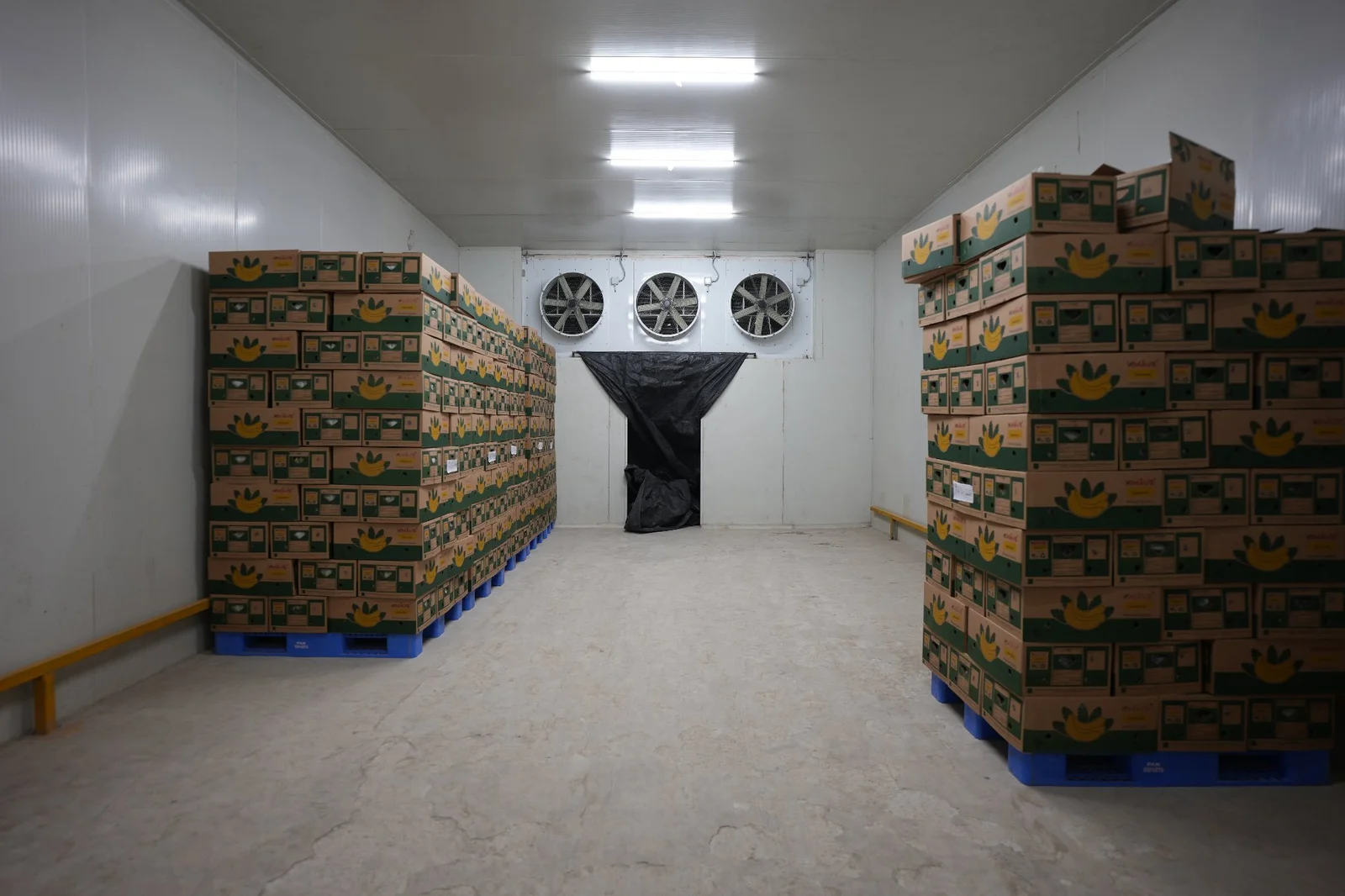 Food processing cold storage application
