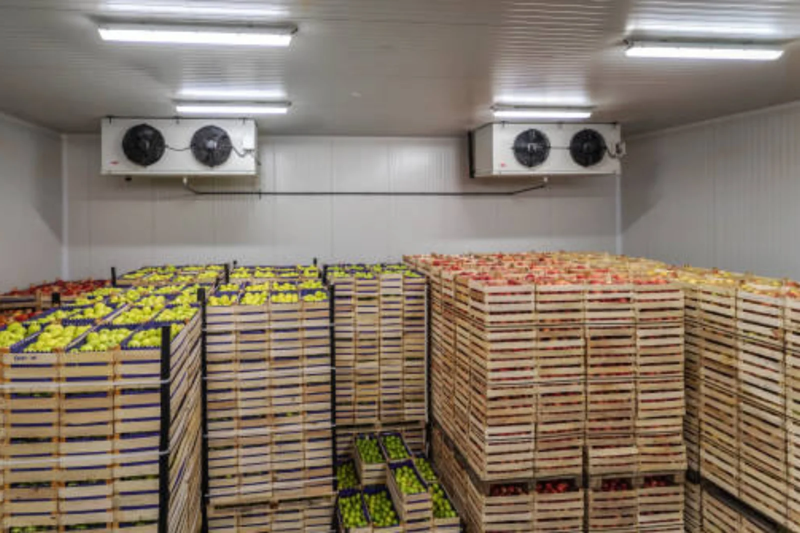 Agriculture and fruit cold storage application