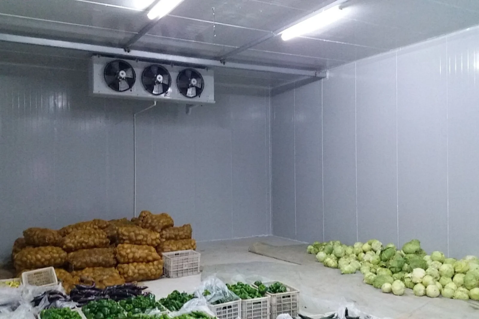 Vegetable cold storage room